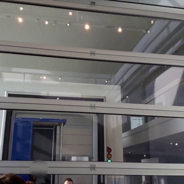 Панорамные ворота Hormann ALR F42